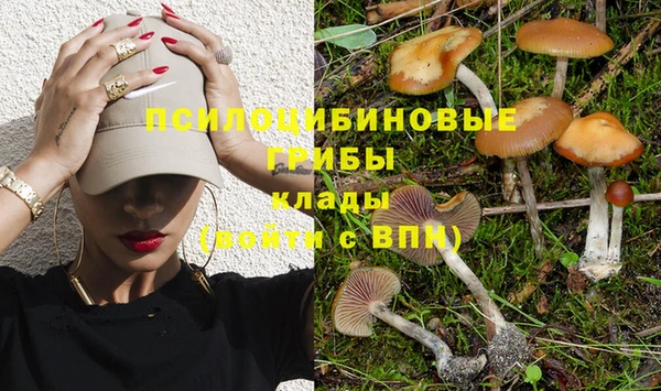 мдма Вяземский