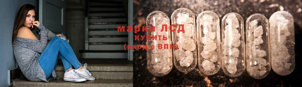 трава Вязьма
