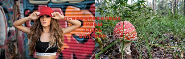 марки lsd Вязники